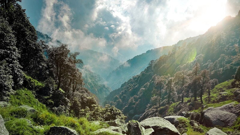 手办保养精选：GSC收藏指南