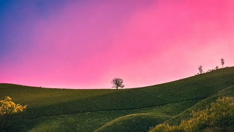 GSC祢豆子限定手办